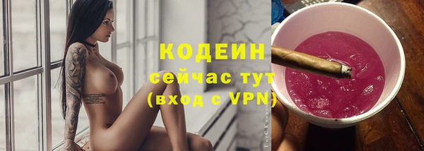 сатива Дмитровск