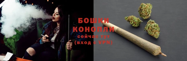 сатива Дмитровск