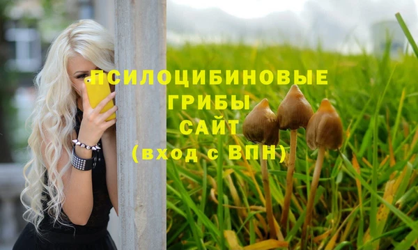 mdma Дмитриев