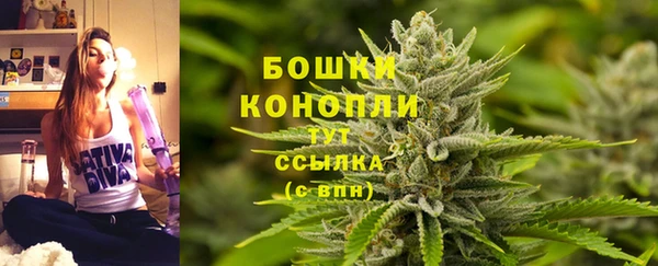 сатива Дмитровск