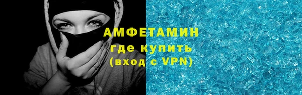сатива Дмитровск