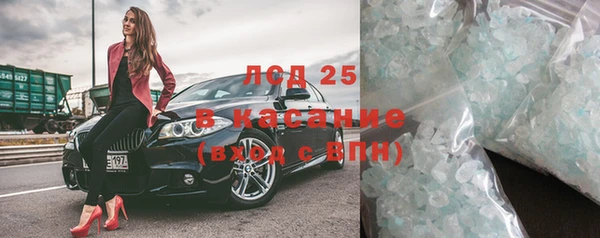 сатива Дмитровск