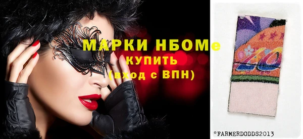 сатива Дмитровск