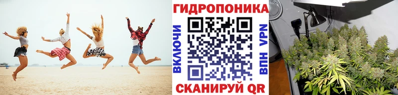 omg ONION  Зея  Конопля Bruce Banner 